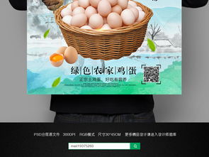 土雞蛋廣告掛畫設計 攜手軟件開發呈現